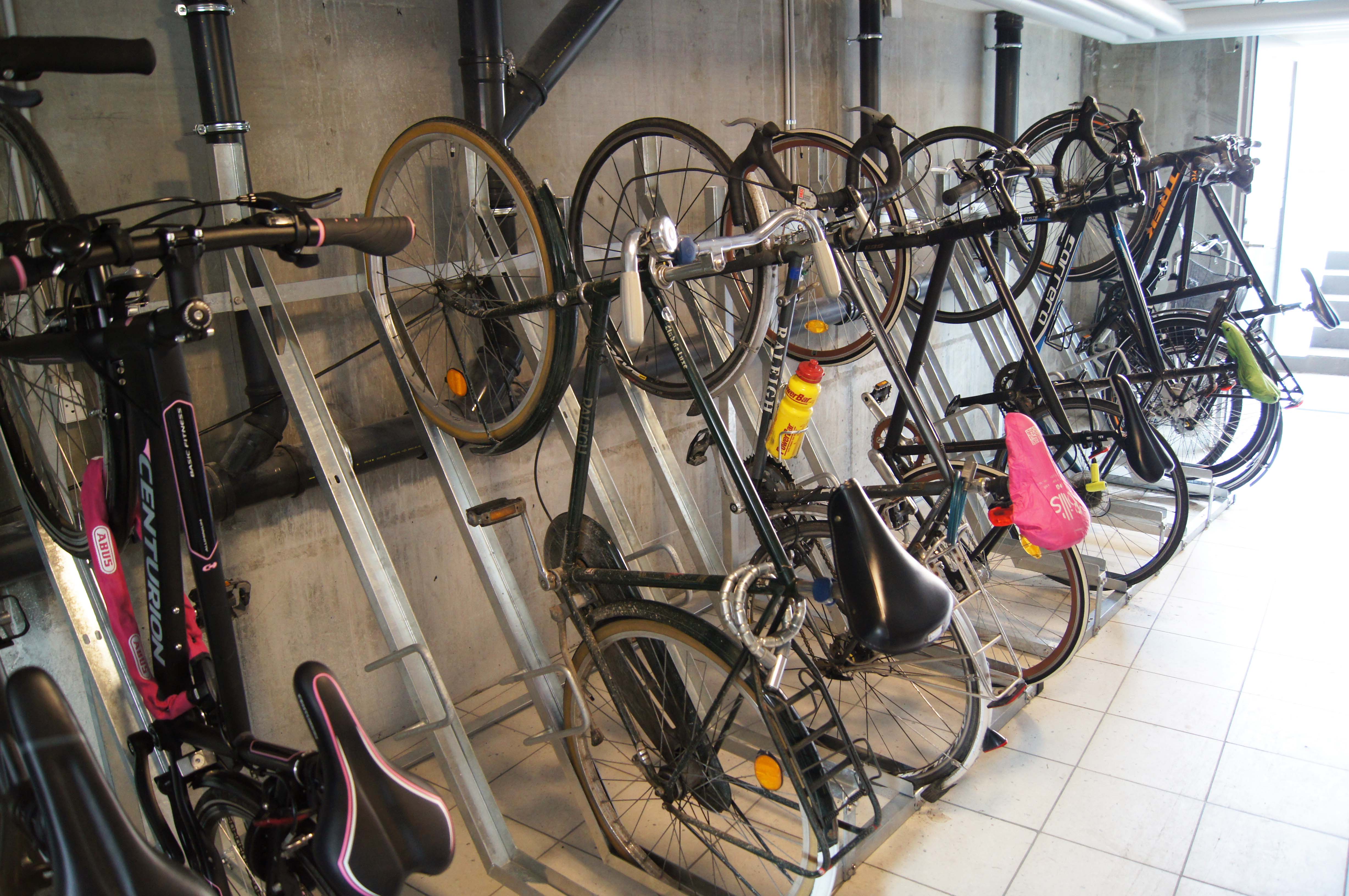 Vertical store cycle rack